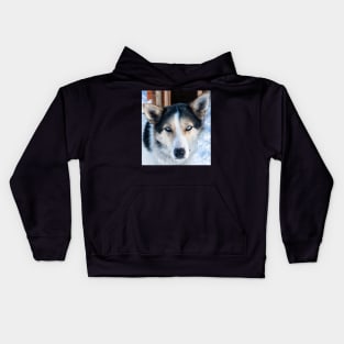 Husky Eyes Kids Hoodie